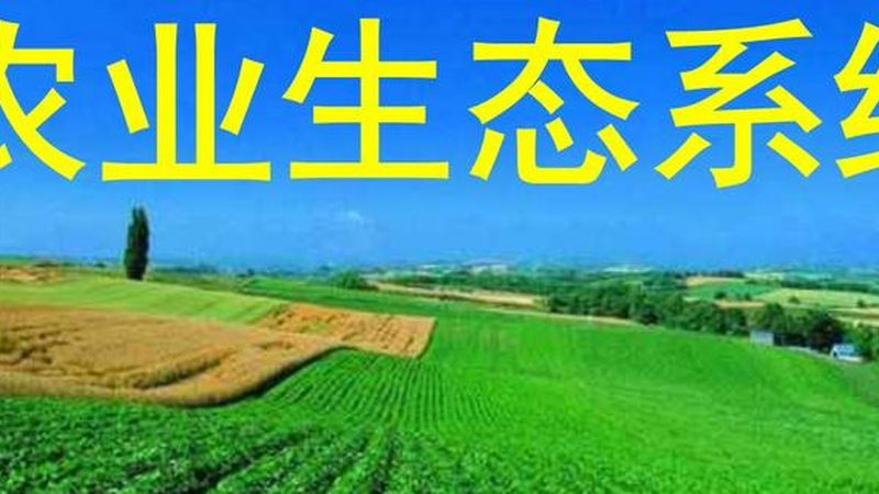 农资批发厂家生产资质，揭秘其背后的标准与要求**