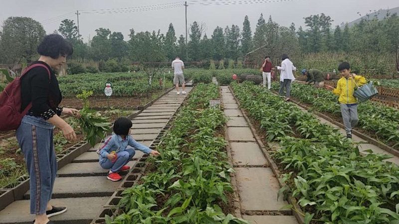 农产品批发代理的利润迷局：揭秘行业真相**