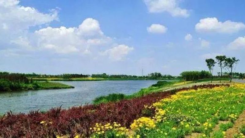 智慧农业种植系统材质揭秘：材质与分类解析