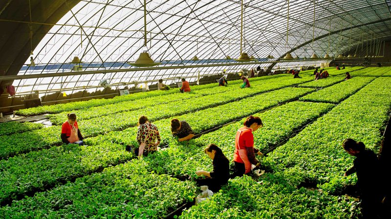 农业灌溉自动化系统定制，这几点不容忽视
