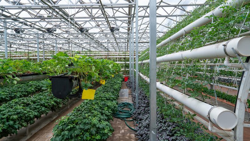 智慧农业种植系统：开启精准农业新时代