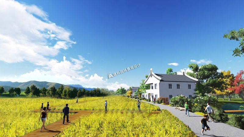 单位食堂果蔬配送：区域覆盖与可持续发展**