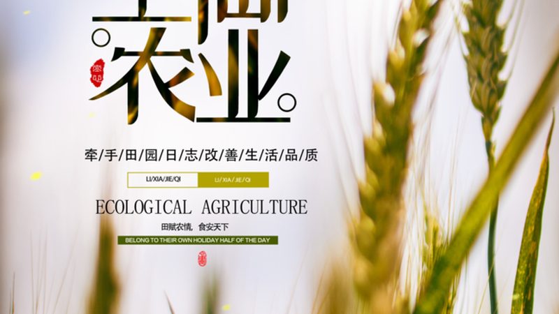 农产品产地直发平台崛起：揭秘十大品牌背后的秘密**